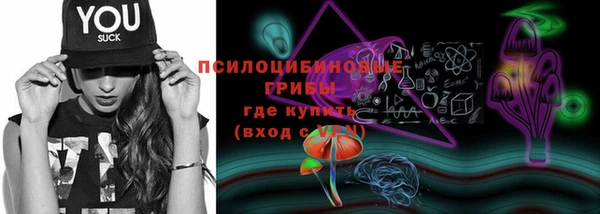 a pvp Пестово