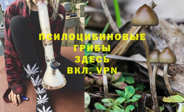 стафф Остров