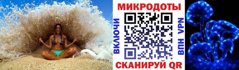 Галлюциногенные грибы Psilocybe  Козельск 